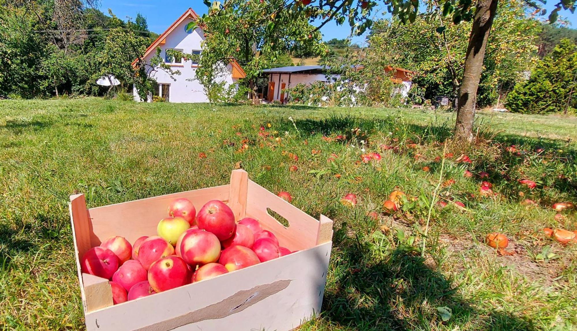 Dobre Miejsce Villa Miedzyzdroje Exteriör bild